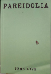 Image of Pareidolia